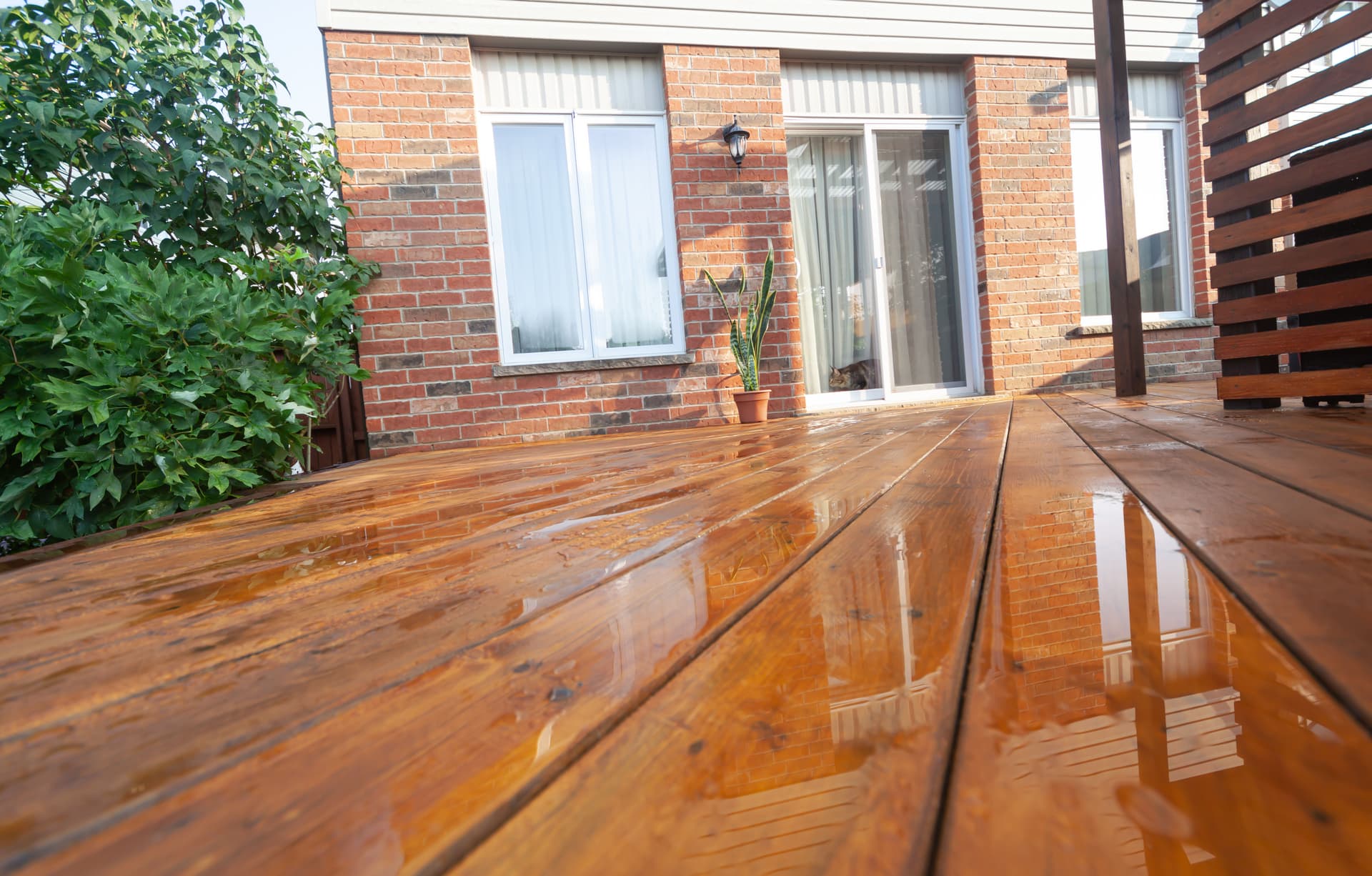 Blog post Best Deck Stains for Florida Weather: St. Augustine Homeowner Guide image